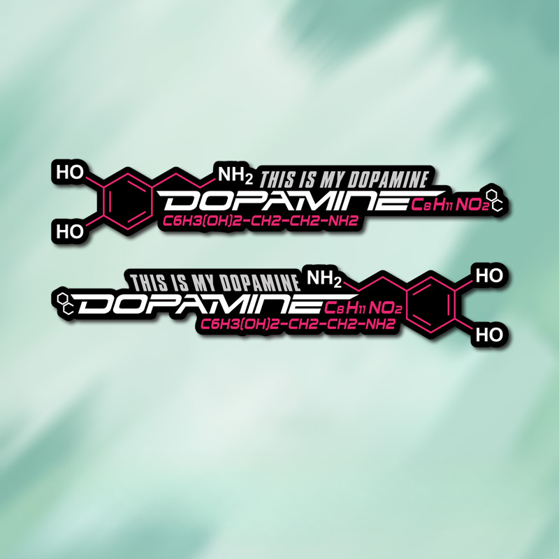 2pcs Dopamine โมเลกุลขี่จักรยา - Home Decor Dopamine บทวิจารณ์และราคา