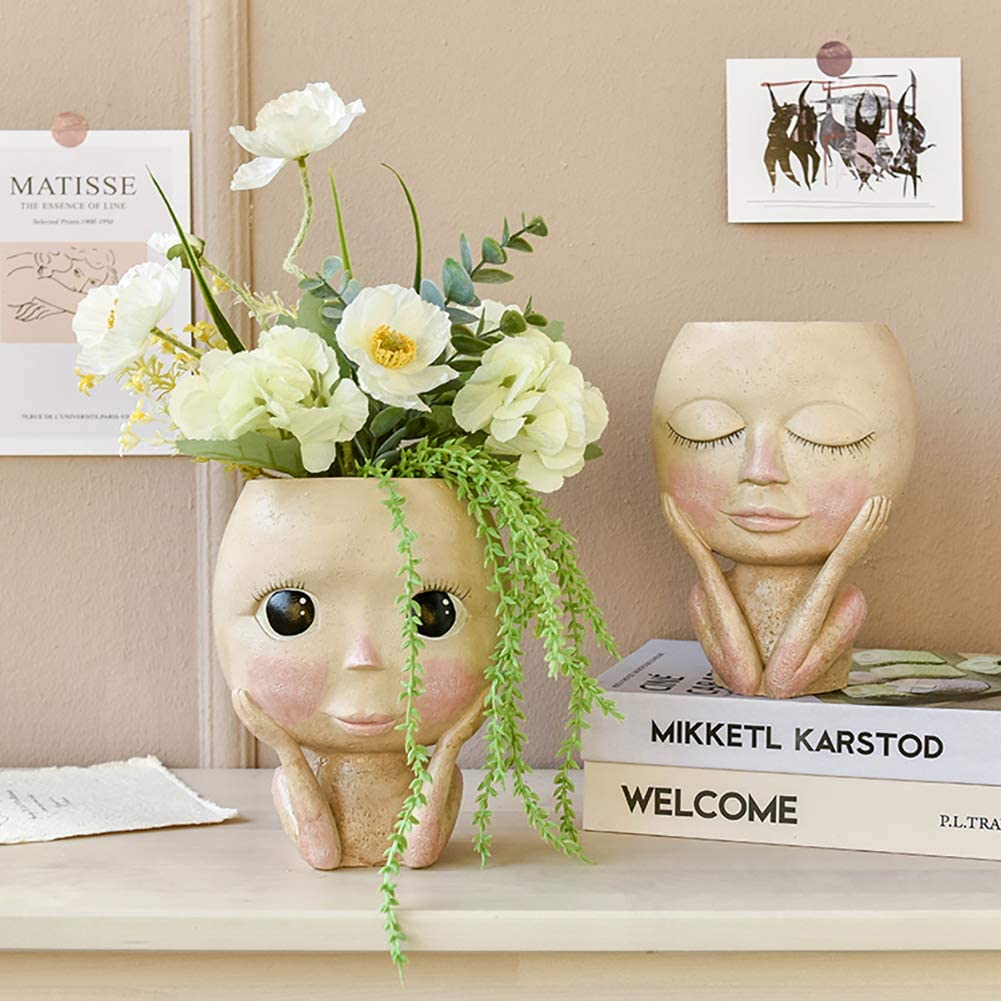 สาวหน้าหัวดอกไม้,พืช Succulent - Home Decor Trends 2025 บทวิจารณ์และราคา
